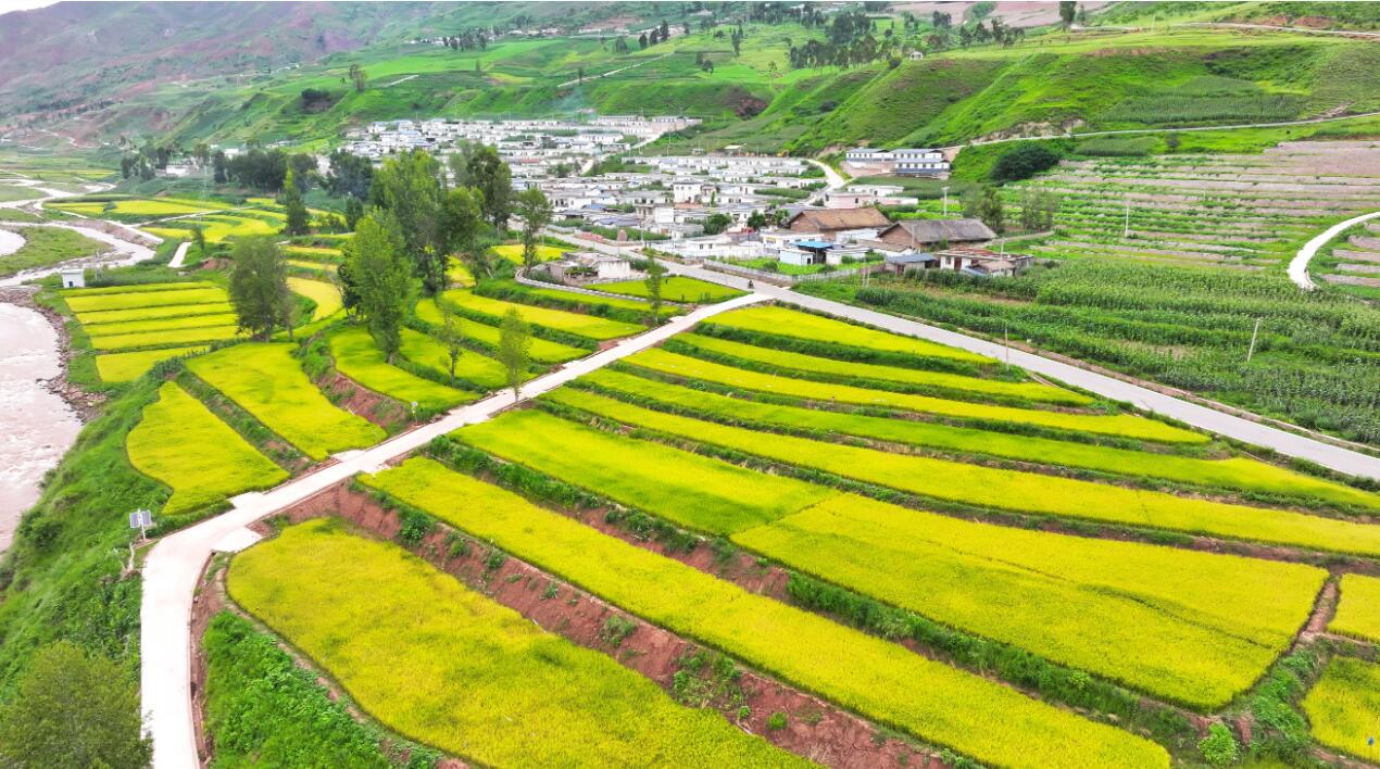 凉山州普格县:把饭碗端牢 让农民的腰包鼓得更足