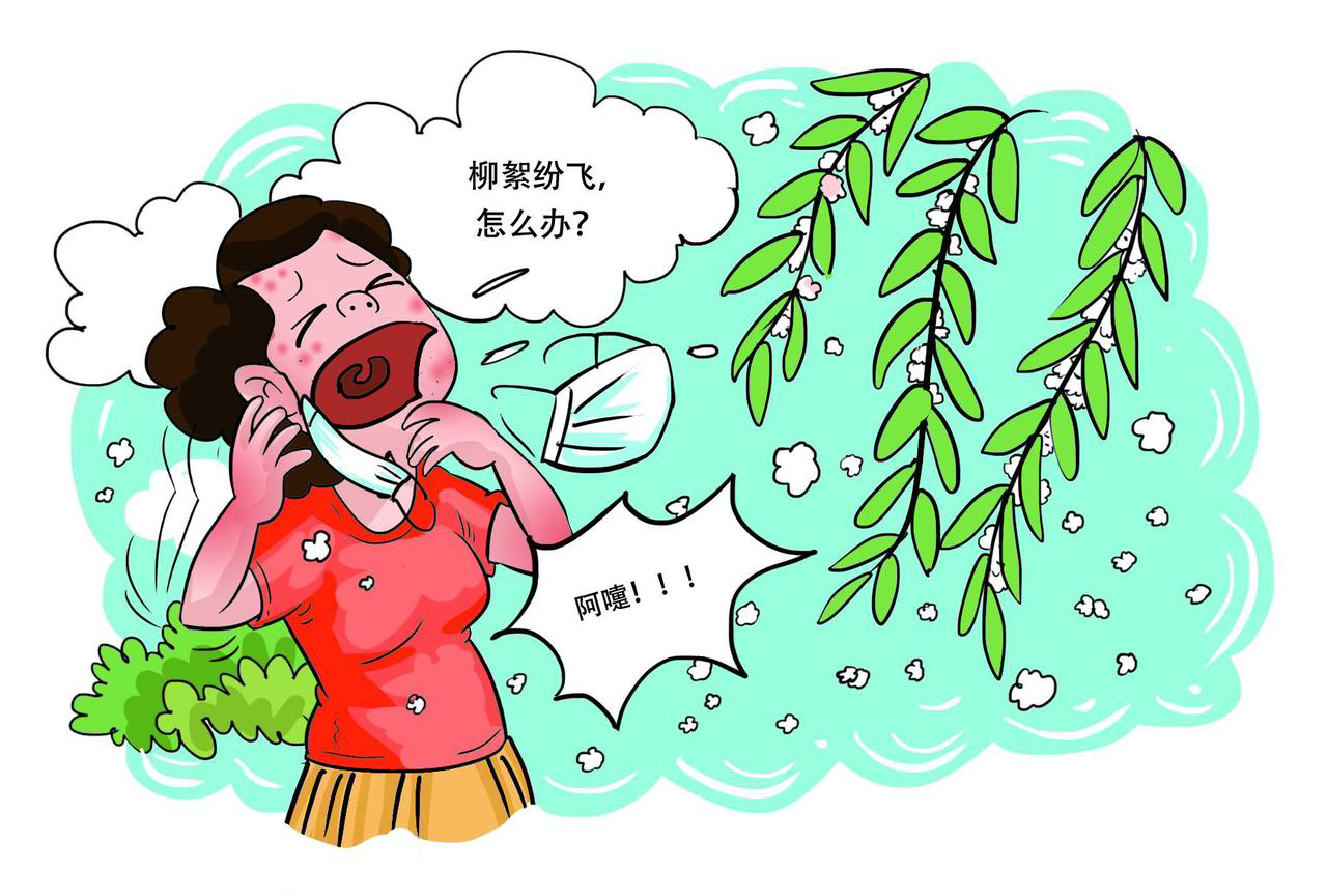 【当好健康第一责任人】每日一招:柳絮纷飞,如何做好防护呢?