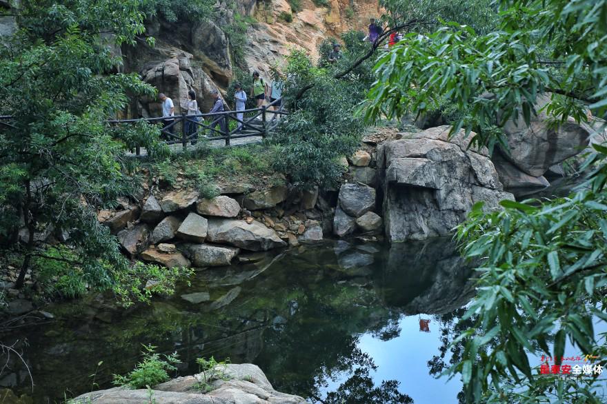 沿著泰山東御道，開(kāi)啟一場(chǎng)森系之旅。 (1).jpg