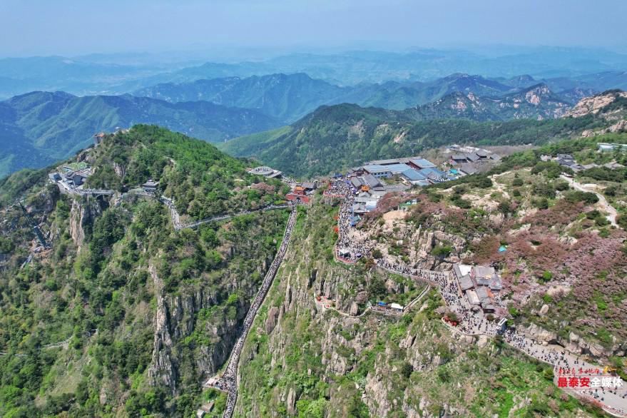 泰山旅游。 陳陽(yáng) 攝.jpg