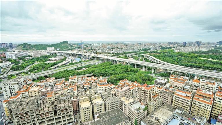 深圳市宝安区航城街道鹤洲社区:洲通八极迎客来 鹤洲发展势头强