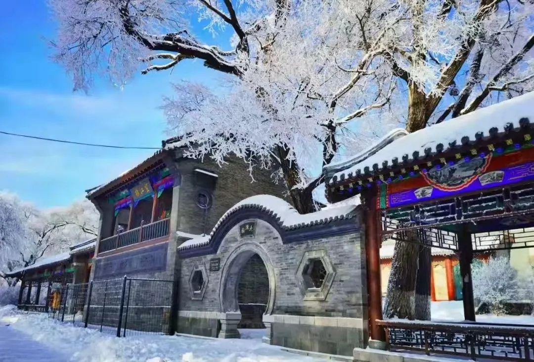 宁安雾凇冬日仙境