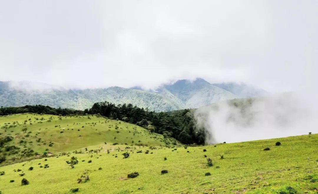 畅游云南 | 徒步云南大姚百草岭,邂逅藏在深山里的"世外桃源"!