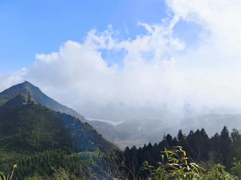 罗平白腊山:冬景似春华美如画