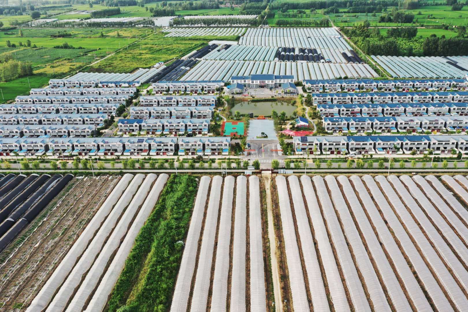 沭阳县钱集镇:农房改善乐民 产业配强富民