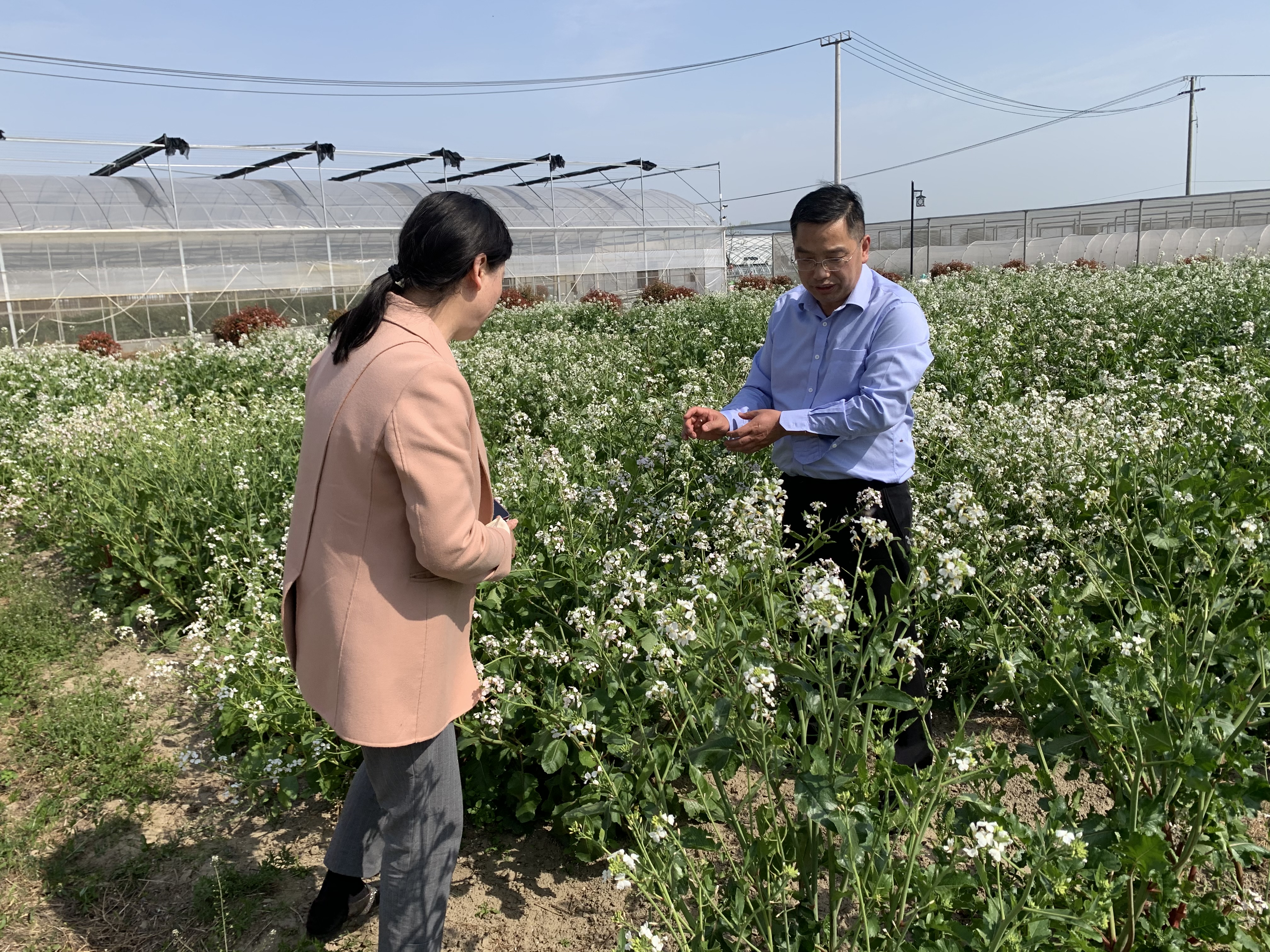 陈志刚教授南农(陈炳林和南农咋样了)
