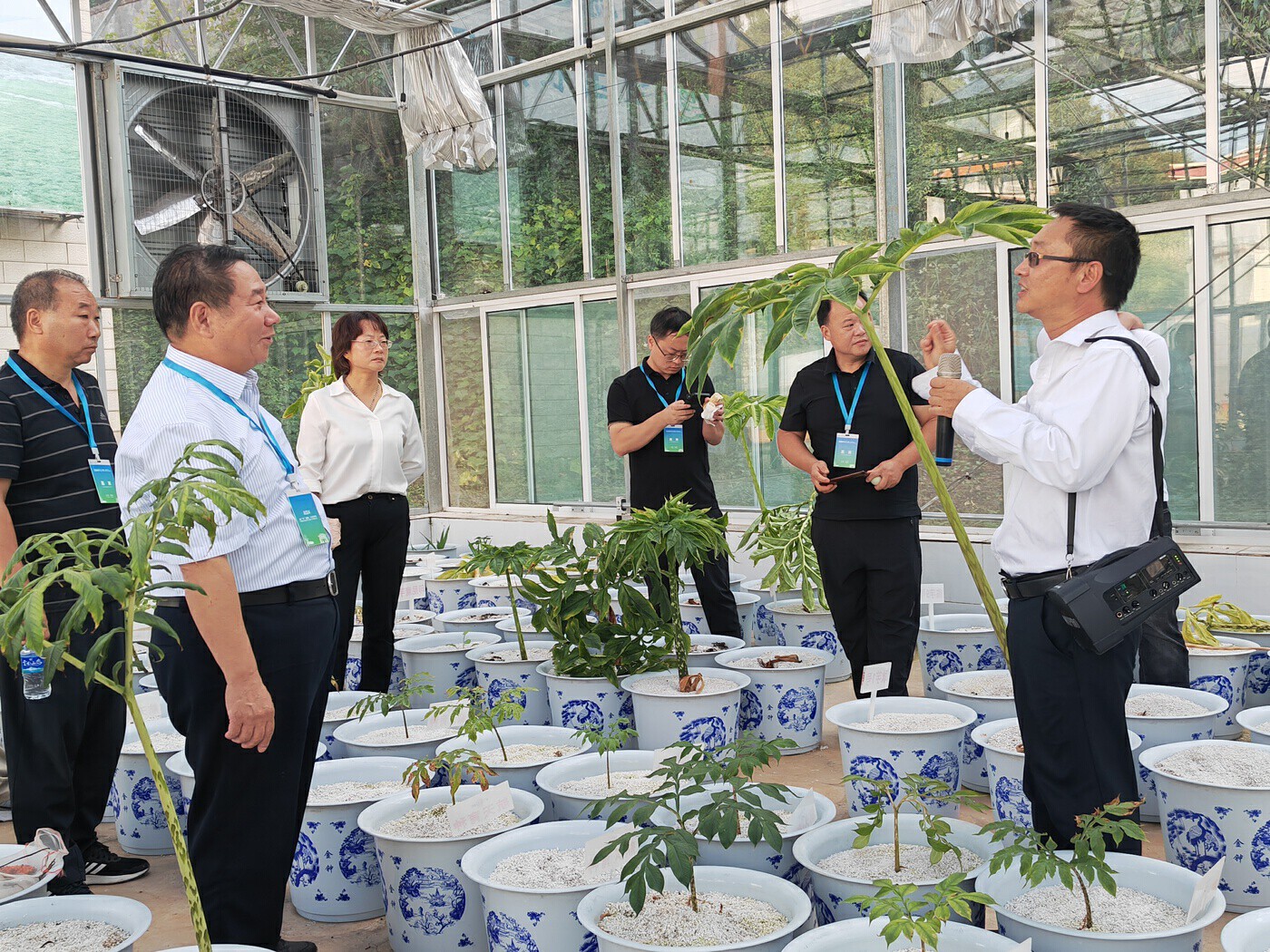 中国园艺协会魔芋分会2024年魔芋产业发展大会在富源开幕