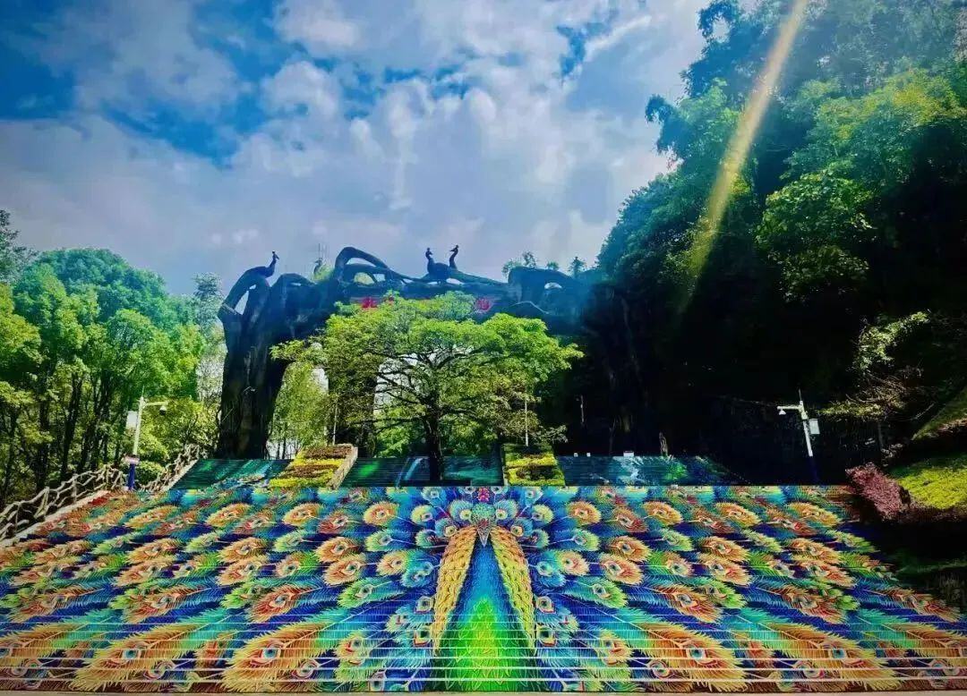 孔雀谷森林公园优惠活动:6月9日至19日,凭本人高考准考证和身份证