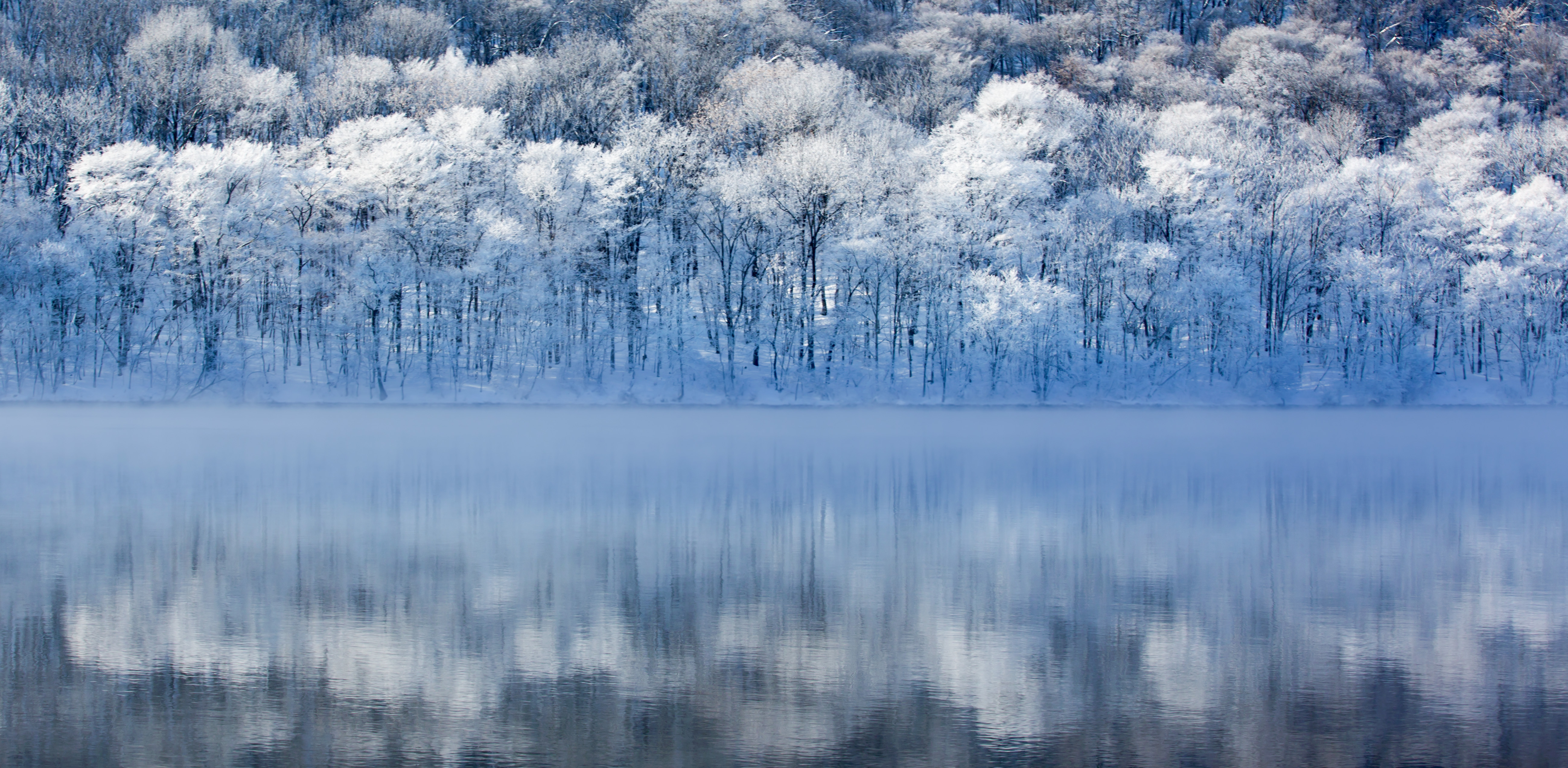 每张都是壁纸最美雾凇看这里