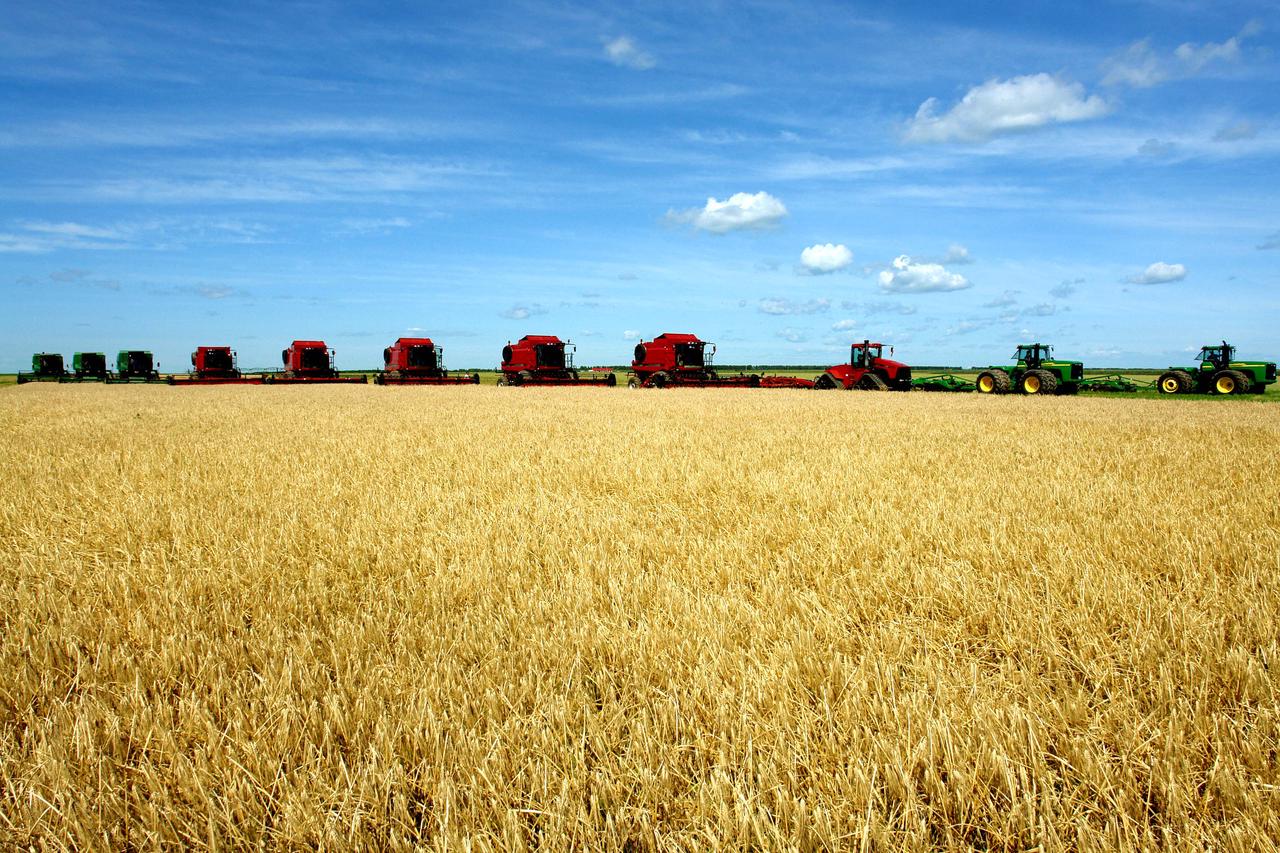 黑龙江富锦守护好耕地中的大熊猫为丰收筑基