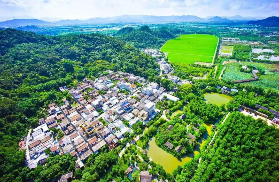 日本一道美食的"灵魂",竟来自斗门!每年出口近2000吨