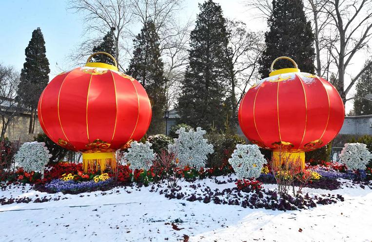 耐寒植物搭配天然可再生材料天壇公園冬奧主題花壇亮相