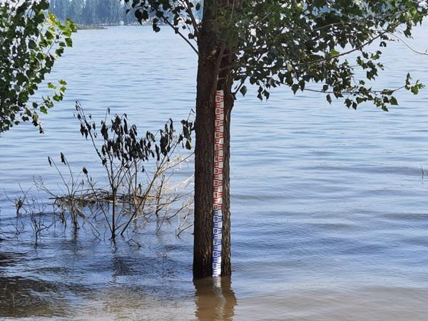 防汛进行时好消息卫河水位降了
