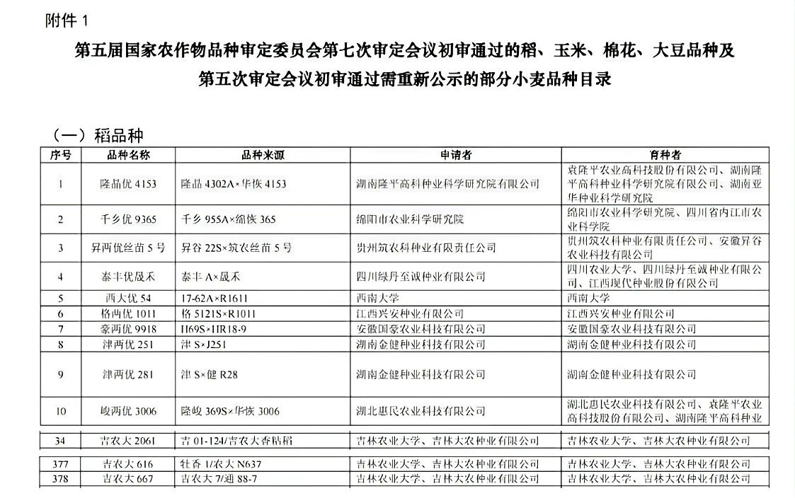 吉农大158水稻品种图片