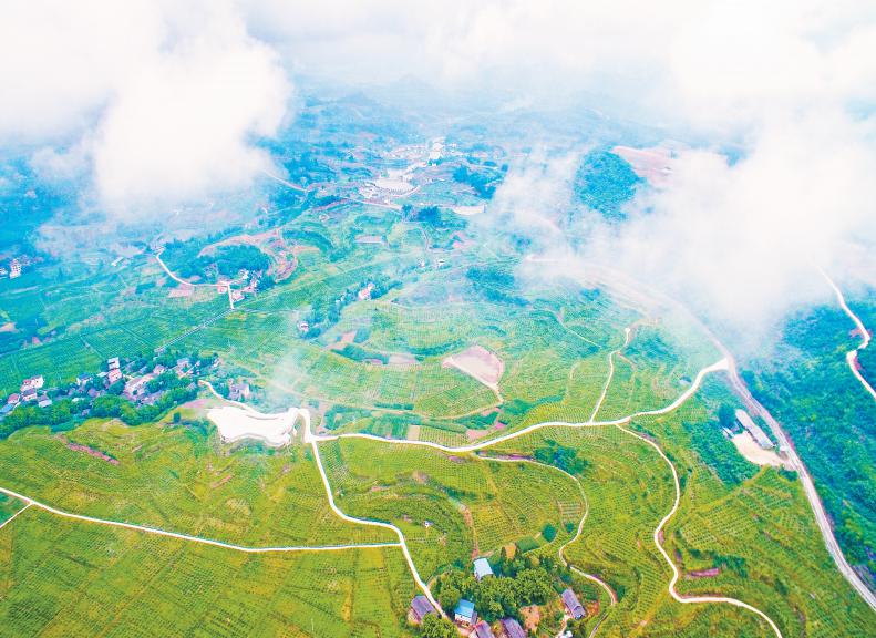 2021年中国美丽休闲乡村名单出炉,我市岳池县顾县镇羊山湖村入选