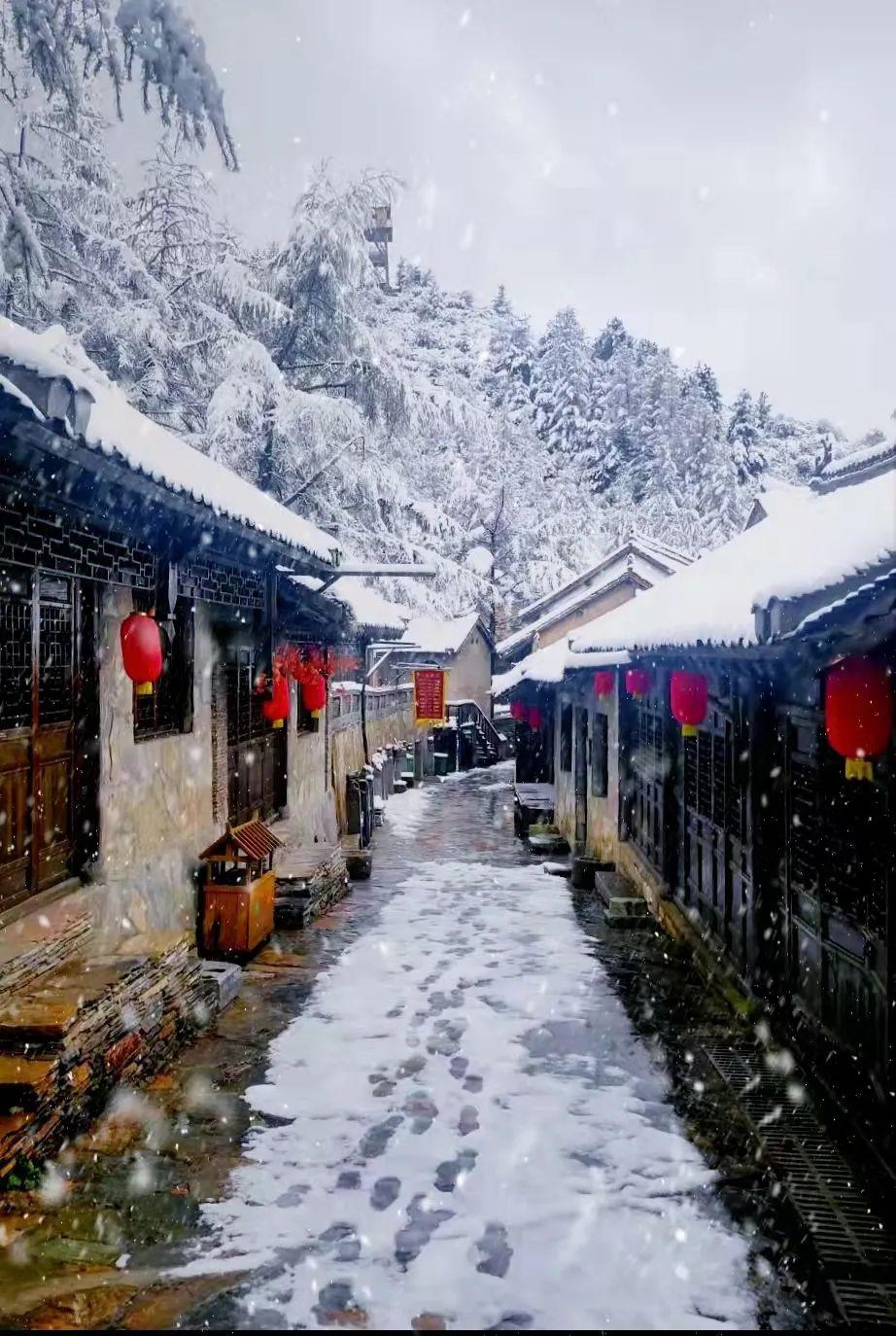 洛阳古城雪景图片