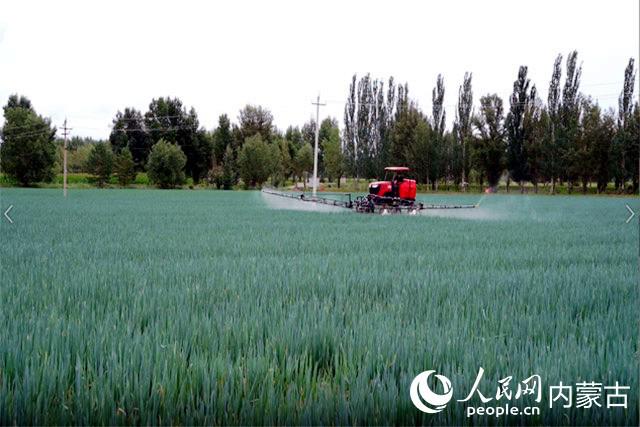 万亩露地蔬菜种植基地内机器正在运行 实习生秦一凡摄