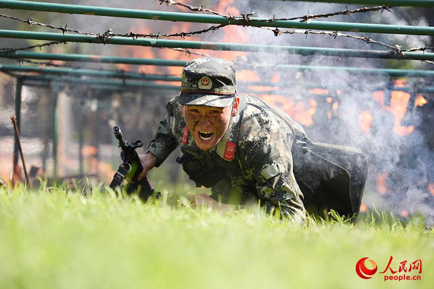 官兵在烈日下进行快速通过低桩网火障.